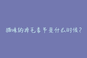 猫咪的掉毛季节是什么时候?-动物百科