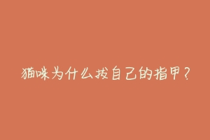 猫咪为什么拔自己的指甲?-动物百科