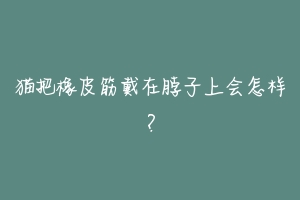 猫把橡皮筋戴在脖子上会怎样?-动物百科