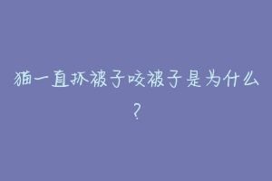 猫一直抓被子咬被子是为什么?-动物百科