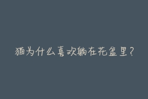 猫为什么喜欢躺在花盆里?-动物百科