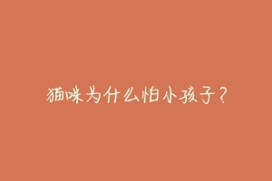 猫咪为什么怕小孩子?-动物百科
