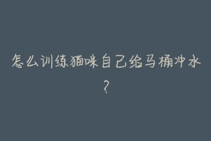 怎么训练猫咪自己给马桶冲水?-动物百科