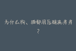 为什么狗、猫都用后腿挠痒痒?-动物百科