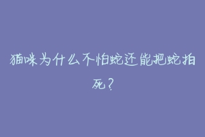 猫咪为什么不怕蛇还能把蛇拍死?-动物百科