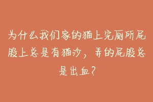 为什么我们家的猫上完厕所屁股上总是有猫沙,弄的屁股总是出血?-动物百科