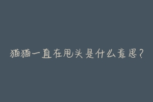 猫猫一直在甩头是什么意思?-动物百科