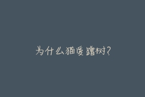 为什么猫爱蹭树?-动物百科