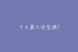 十大最大体型猫?-动物百科