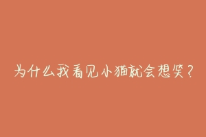 为什么我看见小猫就会想笑?-动物百科