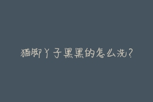 猫脚丫子黑黑的怎么洗?-动物百科