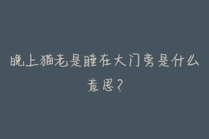 晚上猫老是睡在大门旁是什么意思?-动物百科
