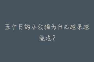 五个月的小公猫为什么越来越能吃?-动物百科