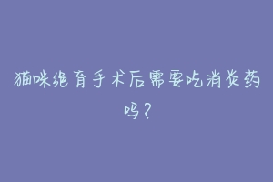 猫咪绝育手术后需要吃消炎药吗?-动物百科