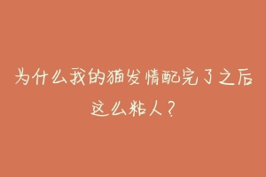 为什么我的猫发情配完了之后这么粘人?-动物百科