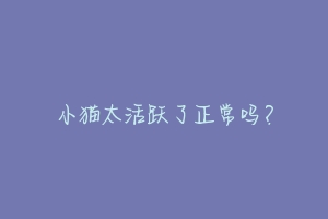 小猫太活跃了正常吗?-动物百科