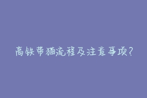 高铁带猫流程及注意事项?-动物百科