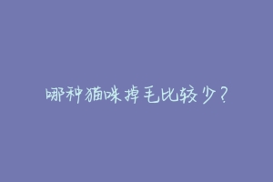 哪种猫咪掉毛比较少?-动物百科