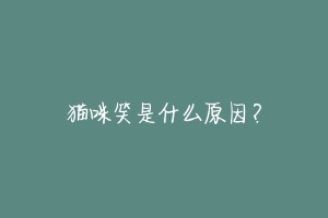 猫咪笑是什么原因?-动物百科