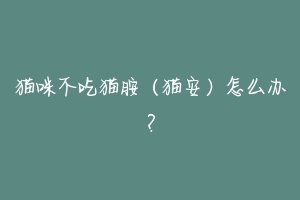 猫咪不吃猫胺(猫安)怎么办?-动物百科
