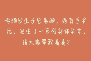母猫发生子宫蓄脓,绝育手术后,发生了一系列身体异常,请大家帮我看看?-动物百科