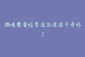 猫咪需要经常清洗保持干净吗?-动物百科