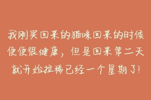 我刚买回来的猫咪回来的时候便便很健康,但是回来第二天就开始拉稀已经一个星期了!到底是怎么回事,会不会死啊?-动物百科