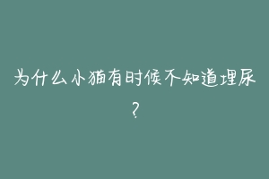 为什么小猫有时候不知道埋尿?-动物百科
