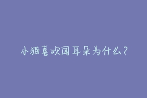 小猫喜欢闻耳朵为什么?-动物百科