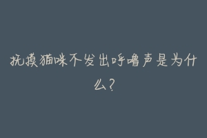 抚摸猫咪不发出呼噜声是为什么?-动物百科