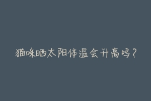 猫咪晒太阳体温会升高吗?-动物百科