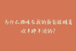 为什么猫咪在我的面前眼睛喜欢半睁半闭的?-动物百科