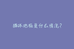 猫抓地板是什么情况?-动物百科