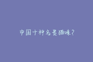 中国十种名贵猫咪?-动物百科