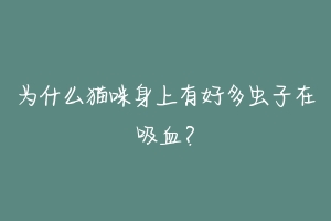 为什么猫咪身上有好多虫子在吸血?-动物百科