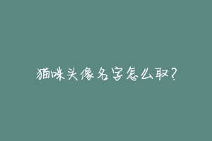 猫咪头像名字怎么取?-动物百科