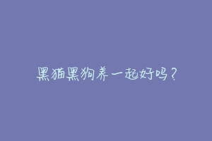 黑猫黑狗养一起好吗?-动物百科