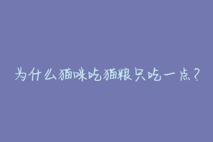 为什么猫咪吃猫粮只吃一点?-动物百科