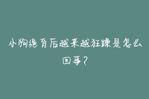 小狗绝育后越来越狂躁是怎么回事?-动物百科