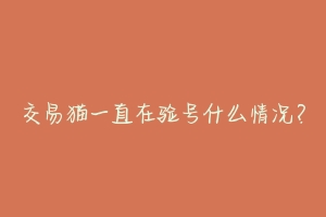 交易猫一直在验号什么情况?-动物百科