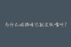 为什么喊猫咪它就会张嘴叫?-动物百科