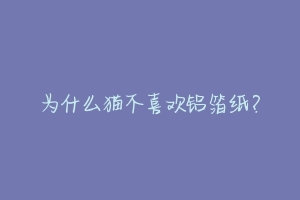 为什么猫不喜欢铝箔纸?-动物百科