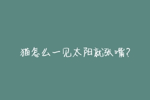 猫怎么一见太阳就张嘴?-动物百科