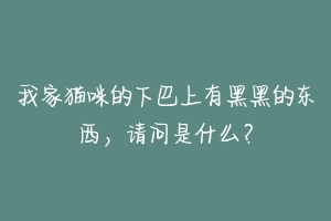 我家猫咪的下巴上有黑黑的东西,请问是什么?-动物百科
