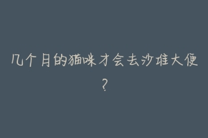 几个月的猫咪才会去沙堆大便?-动物百科