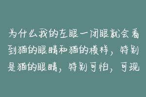 为什么我的左眼一闭眼就会看到猫的眼睛和猫的模样，特别是猫的眼睛，特别可怕，可现实中我不怕猫的，但在？-动物百科