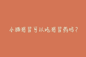 小猫感冒可以吃感冒药吗?-动物百科