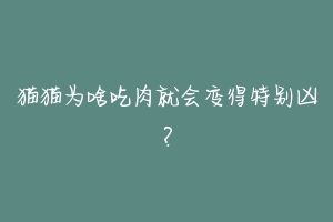 猫猫为啥吃肉就会变得特别凶?-动物百科