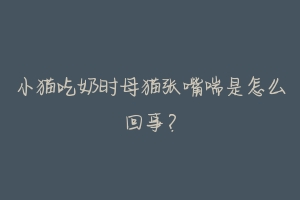 小猫吃奶时母猫张嘴喘是怎么回事?-动物百科