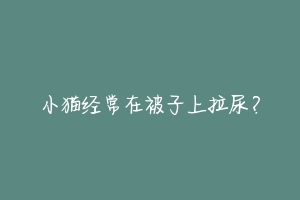 小猫经常在被子上拉尿?-动物百科